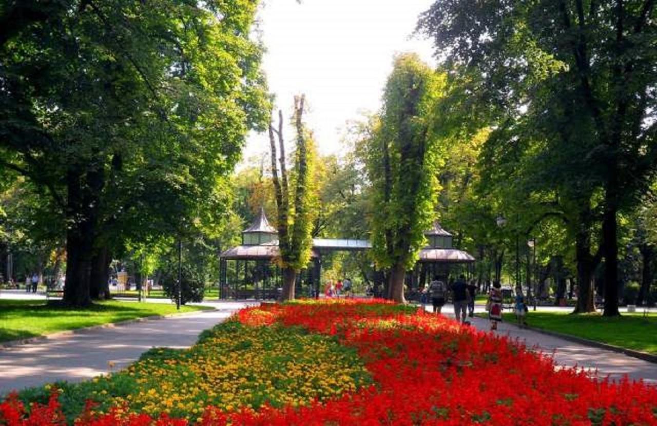 Sunflower Apartment City Center Пловдив Екстер'єр фото